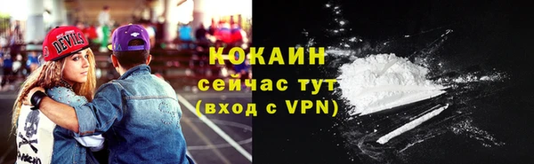 ешки Протвино