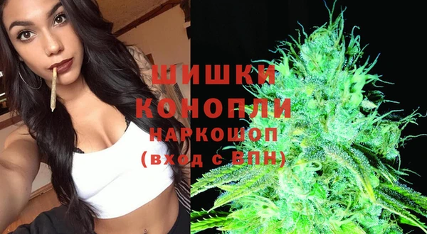 ешки Протвино