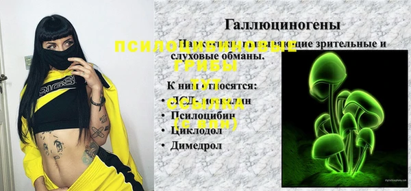 spice Щигры