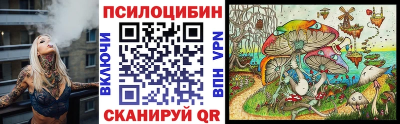 Псилоцибиновые грибы Psilocybine cubensis что такое Адыгейск